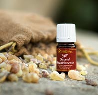 Young Living Frankincense Essential Oil